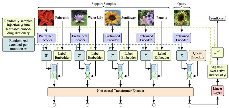Schematic of the TAIL architecture with pretrained encoders, label embedders and a non-causal transformer encoder